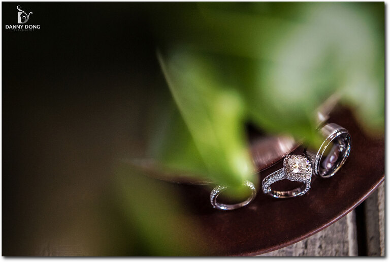 DannyDong_20150727_N_014