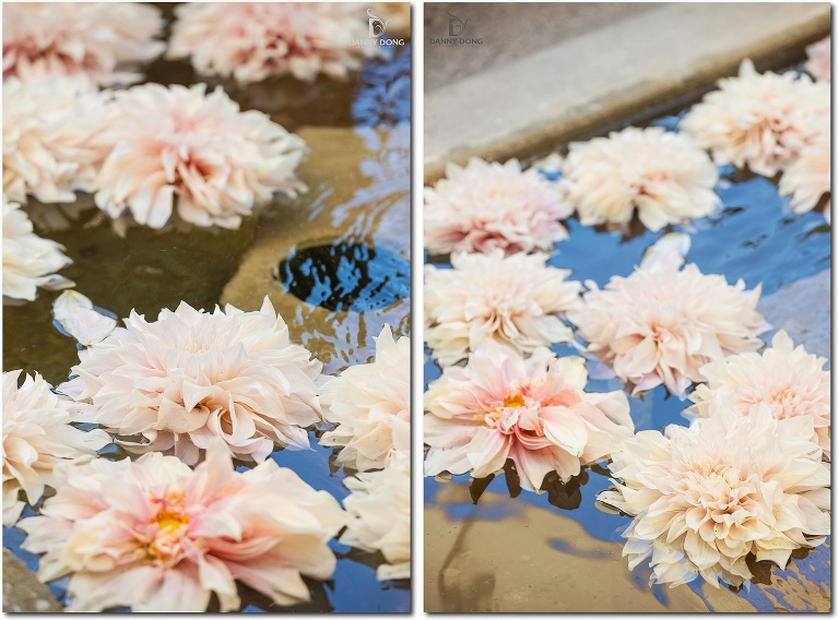 DannyDong_20150727_N_025