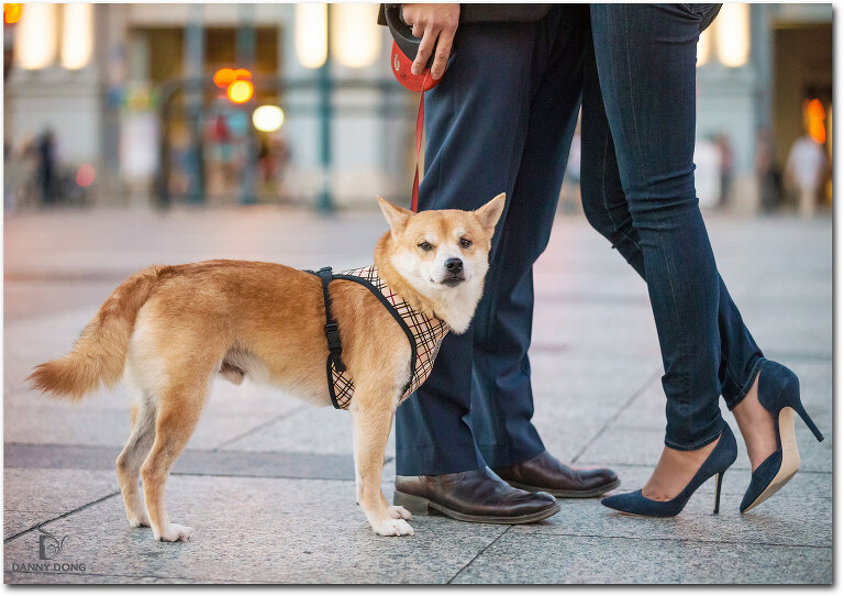 DannyDong_20150909_I_010