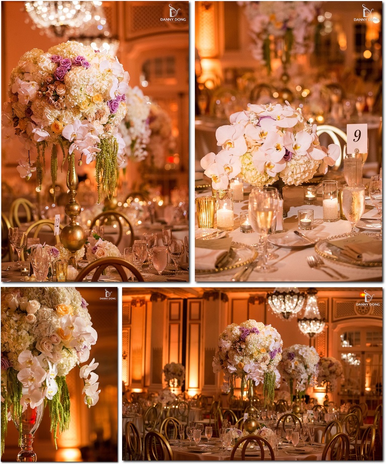 DannyDong_201508_S_089