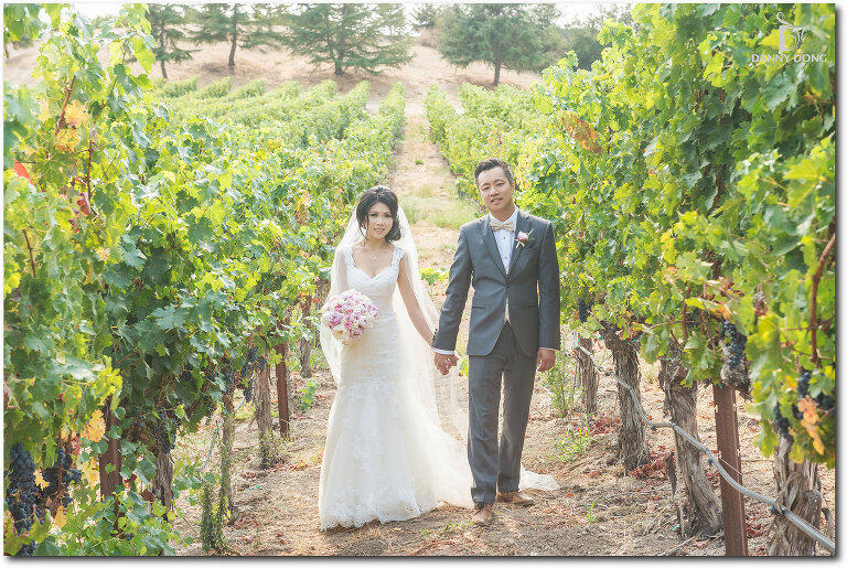 24-silverado-resort-wedding-photograph