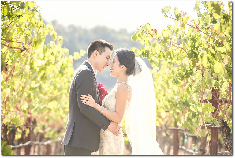 02-napa-valley-wedding-photography