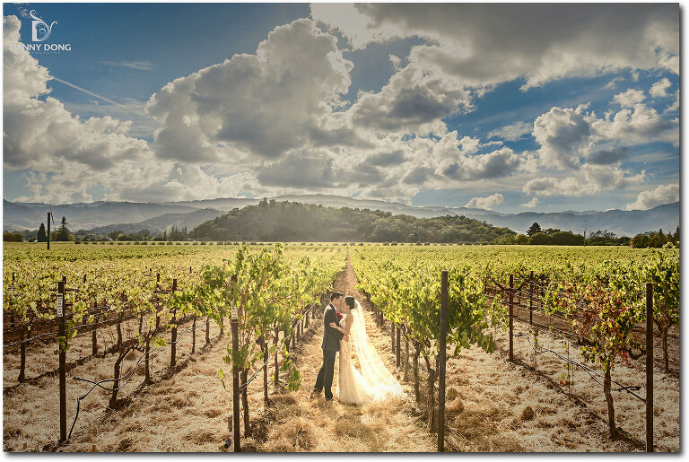 16-napa-valley-wedding-photography