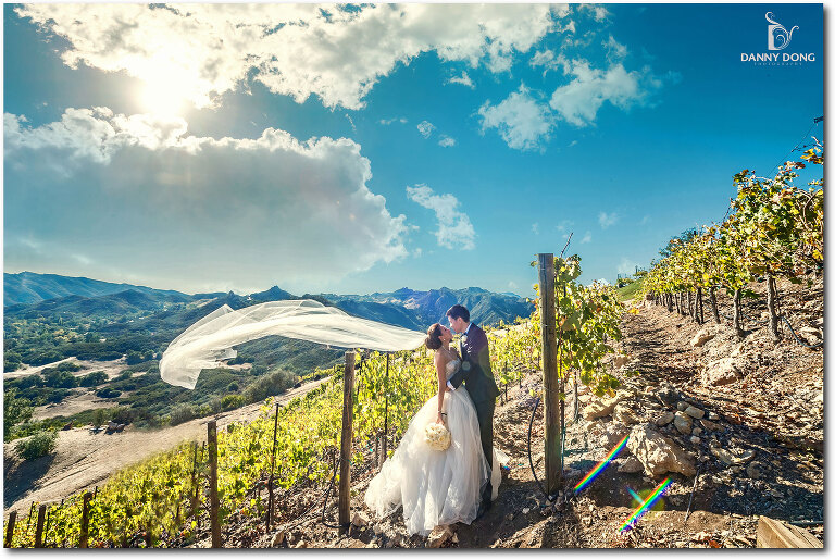 38-malibu-rocky-oaks-estate-vineyard-wedding-photography