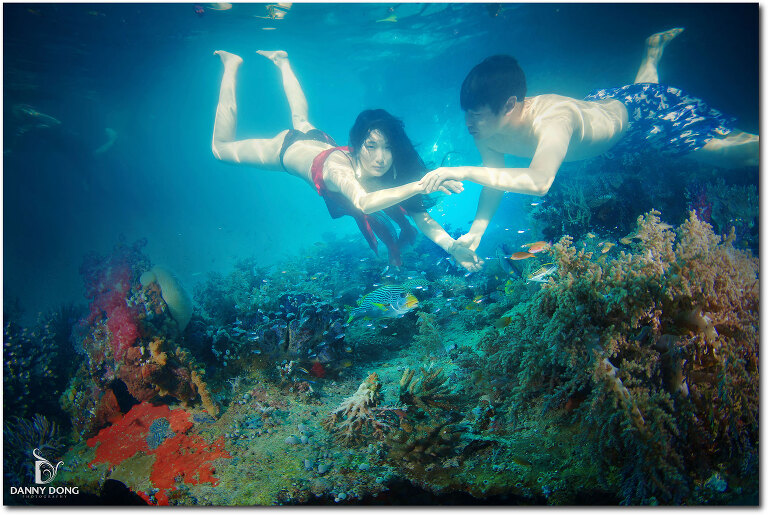 DannyDong_20151212_C_002