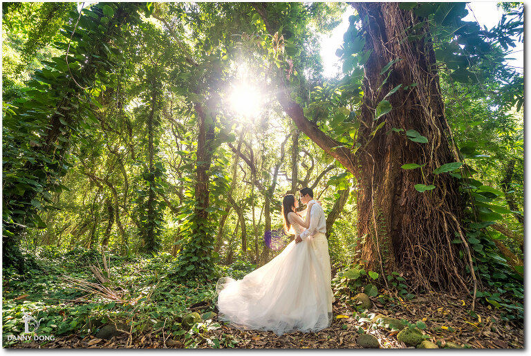 DannyDong_20151212_C_004