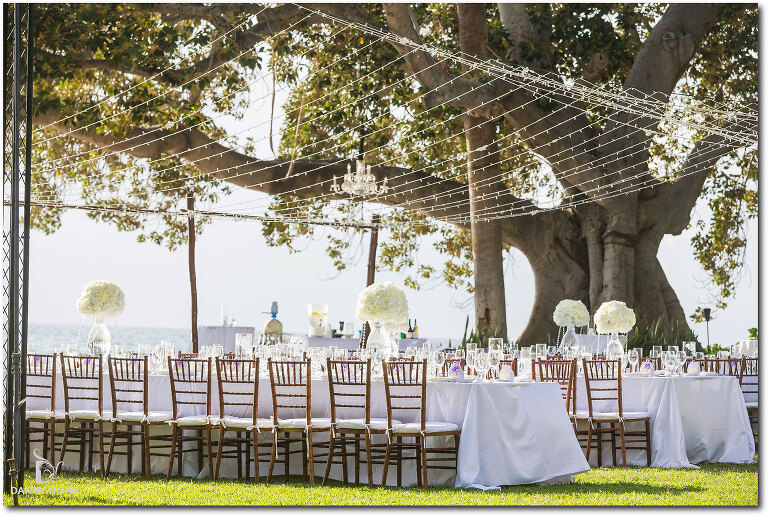 DannyDong_20151212_C_043