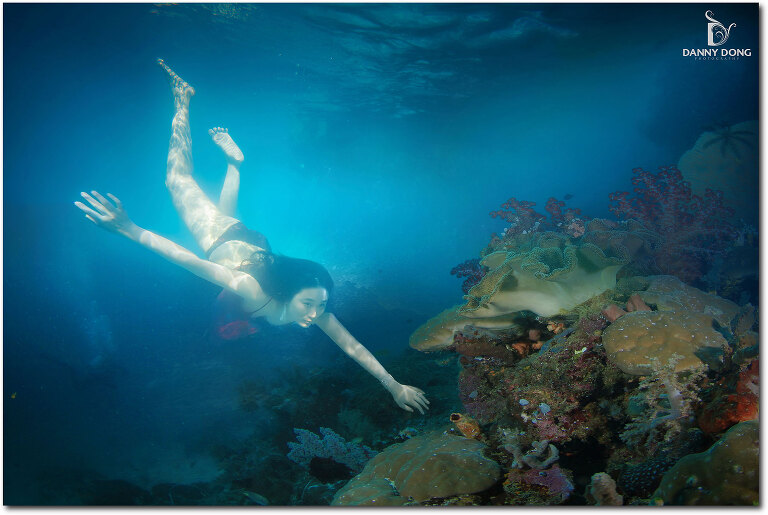 DannyDong_20151212_C_076