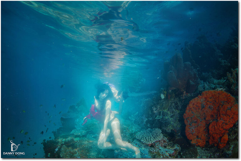 DannyDong_20151212_C_077