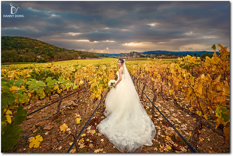01-napa-valley-wedding-photography