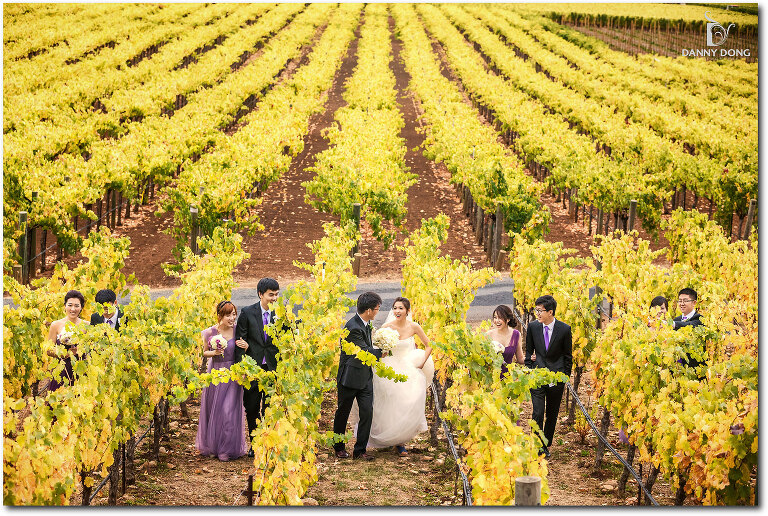 03-napa-valley-wedding-photography