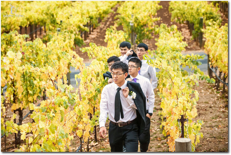 29-auberge-du-soleil-wedding-photography