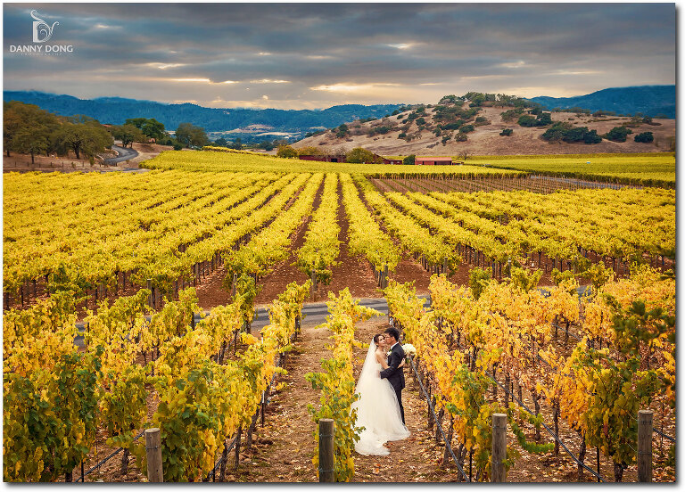 47-auberge-du-soleil-wedding-photography