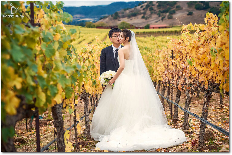 48-auberge-du-soleil-wedding-photography