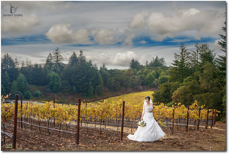 14-thomas-fogarty-winery-wedding-photography