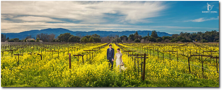 02-napa-valley-wedding-photography