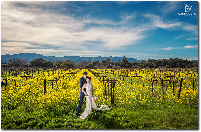21-napa-valley-wedding-photography