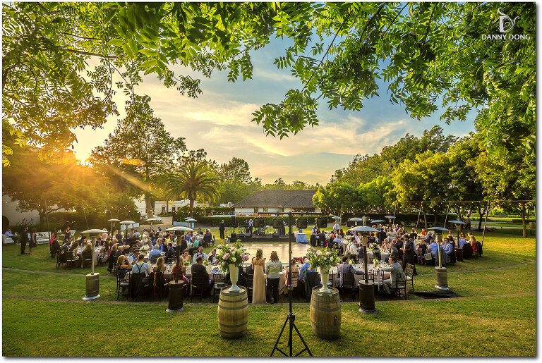 43-wente-vineyards-wedding-photography