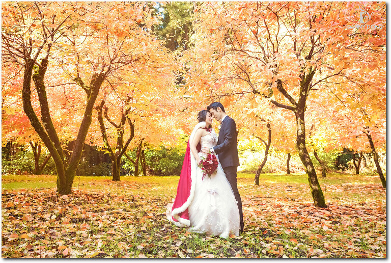 DannyDong_20161029_A_003