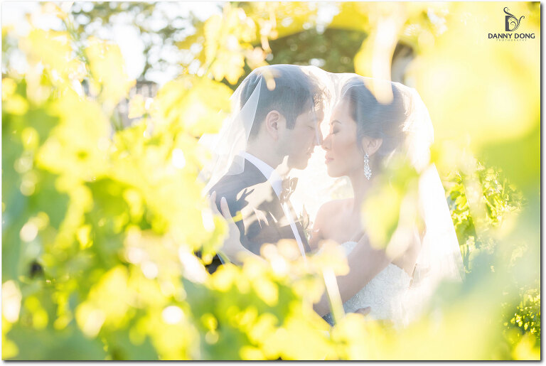 04-v-sattui-winery-wedding-photography