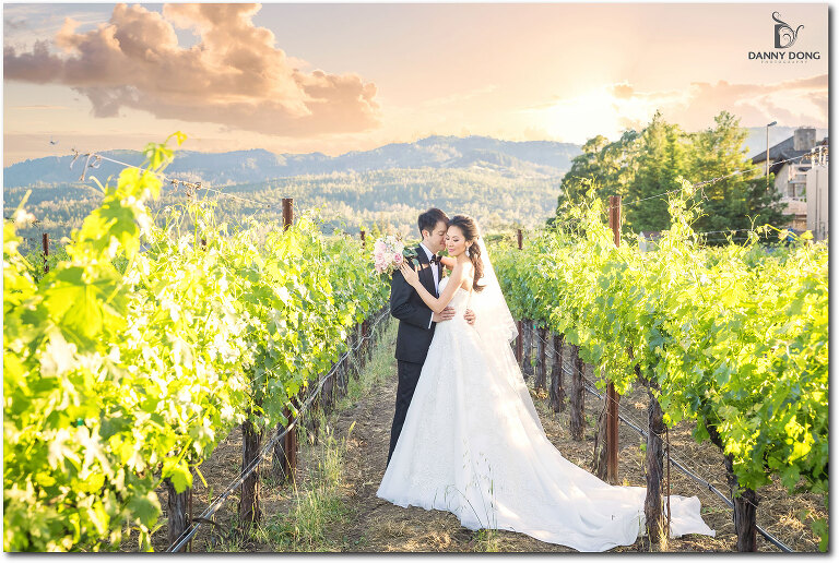 37-napa-valley-destination-wedding-photography