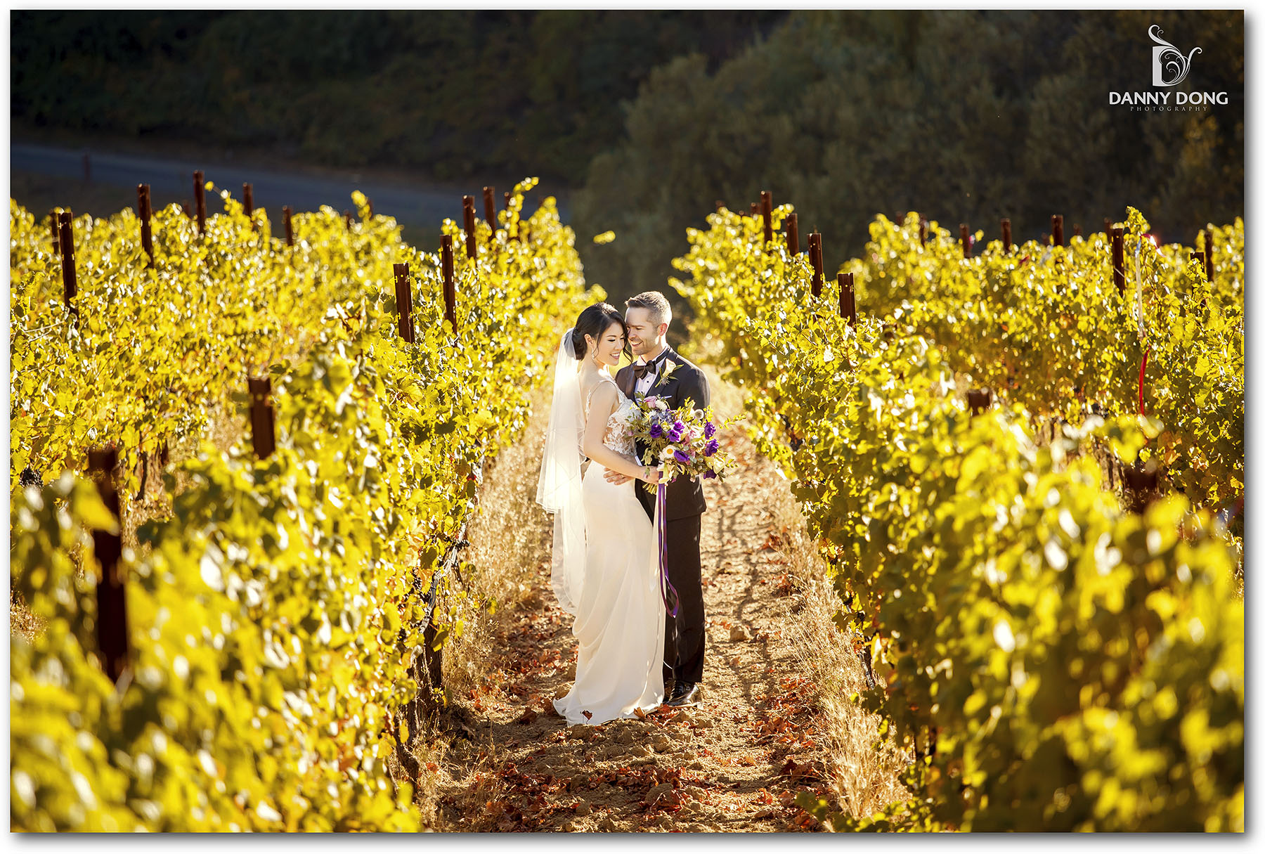 Fogarty Winery Wedding : Anna + Zack